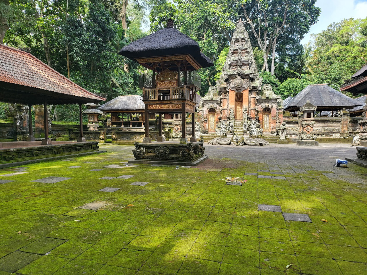 Парк Monkey Forest
