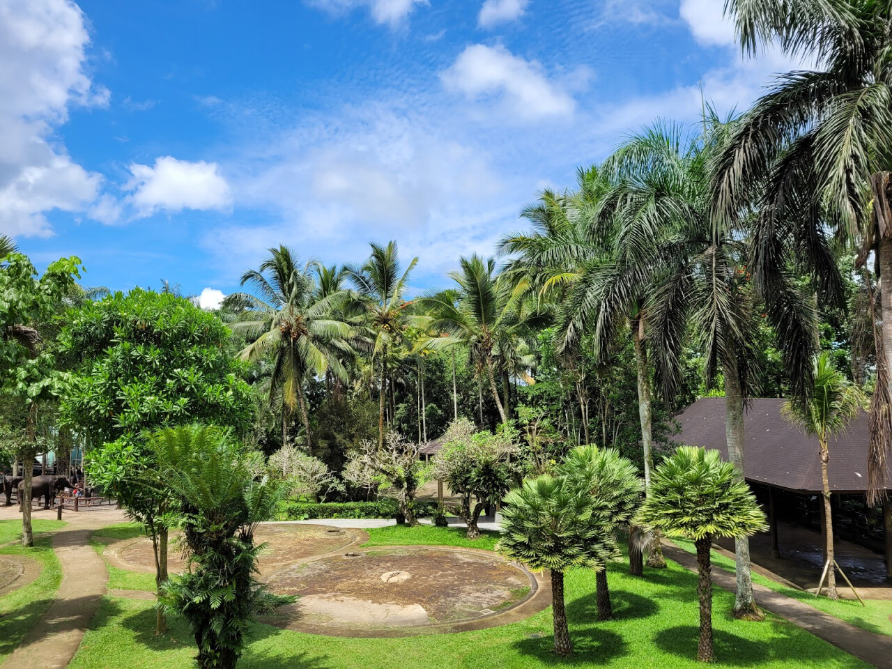 Bali Bird Park