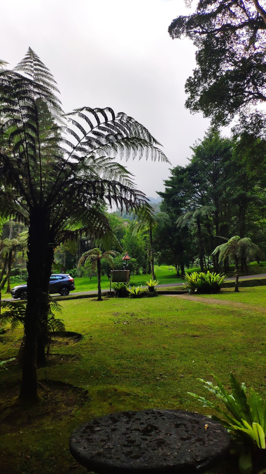 Bali Botanical Garden