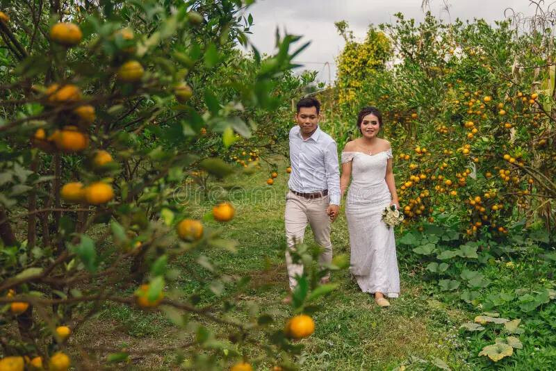 Мандариновые плантации Buah Bali Fruits