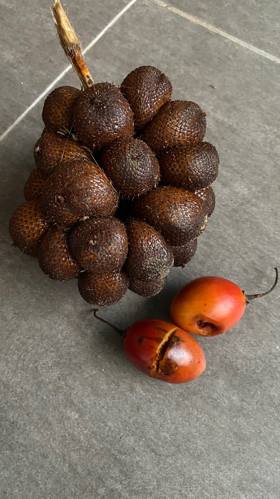 Мандариновые плантации Buah Bali Fruits