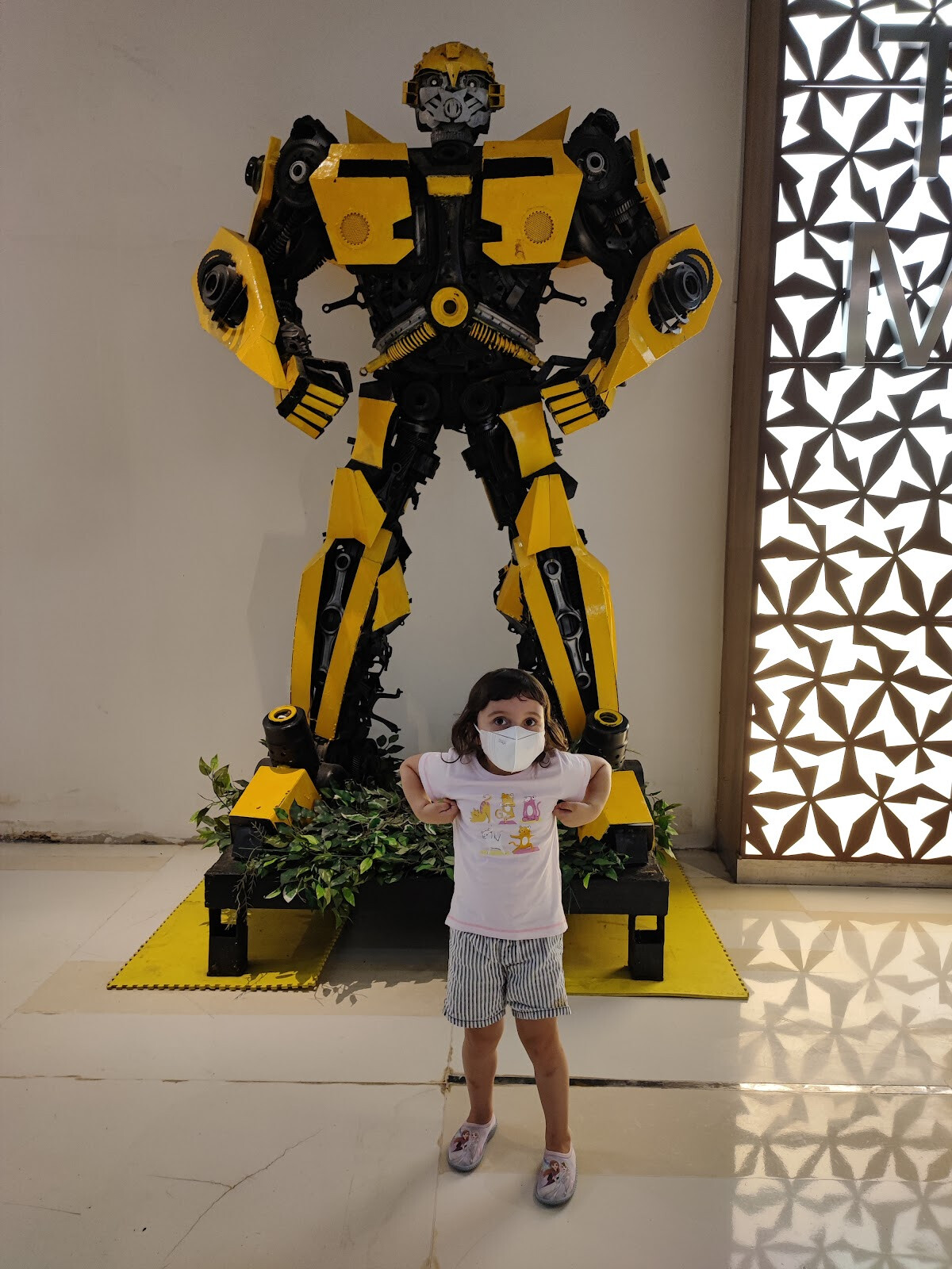 Play Land