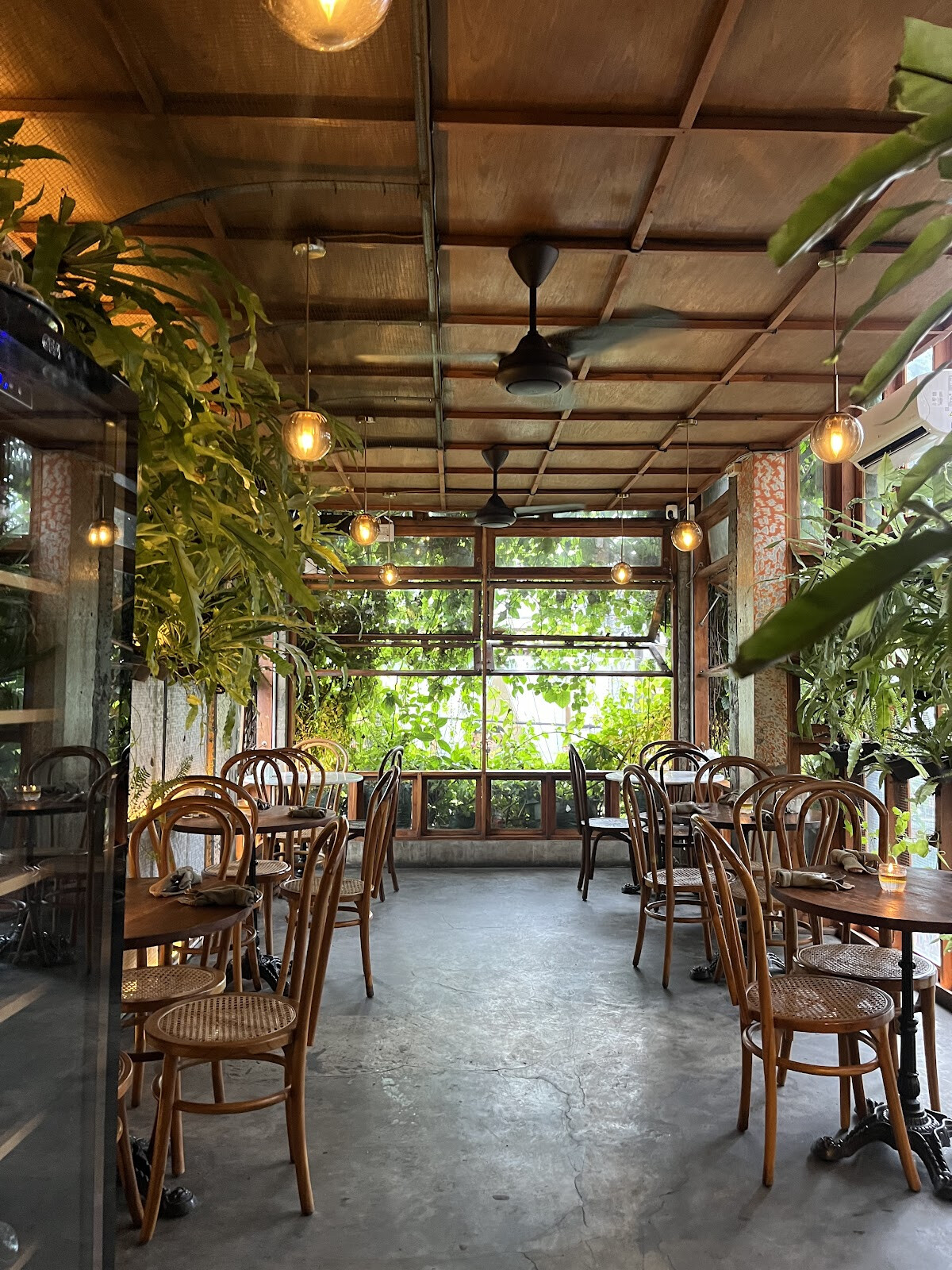 Jinny's Garden