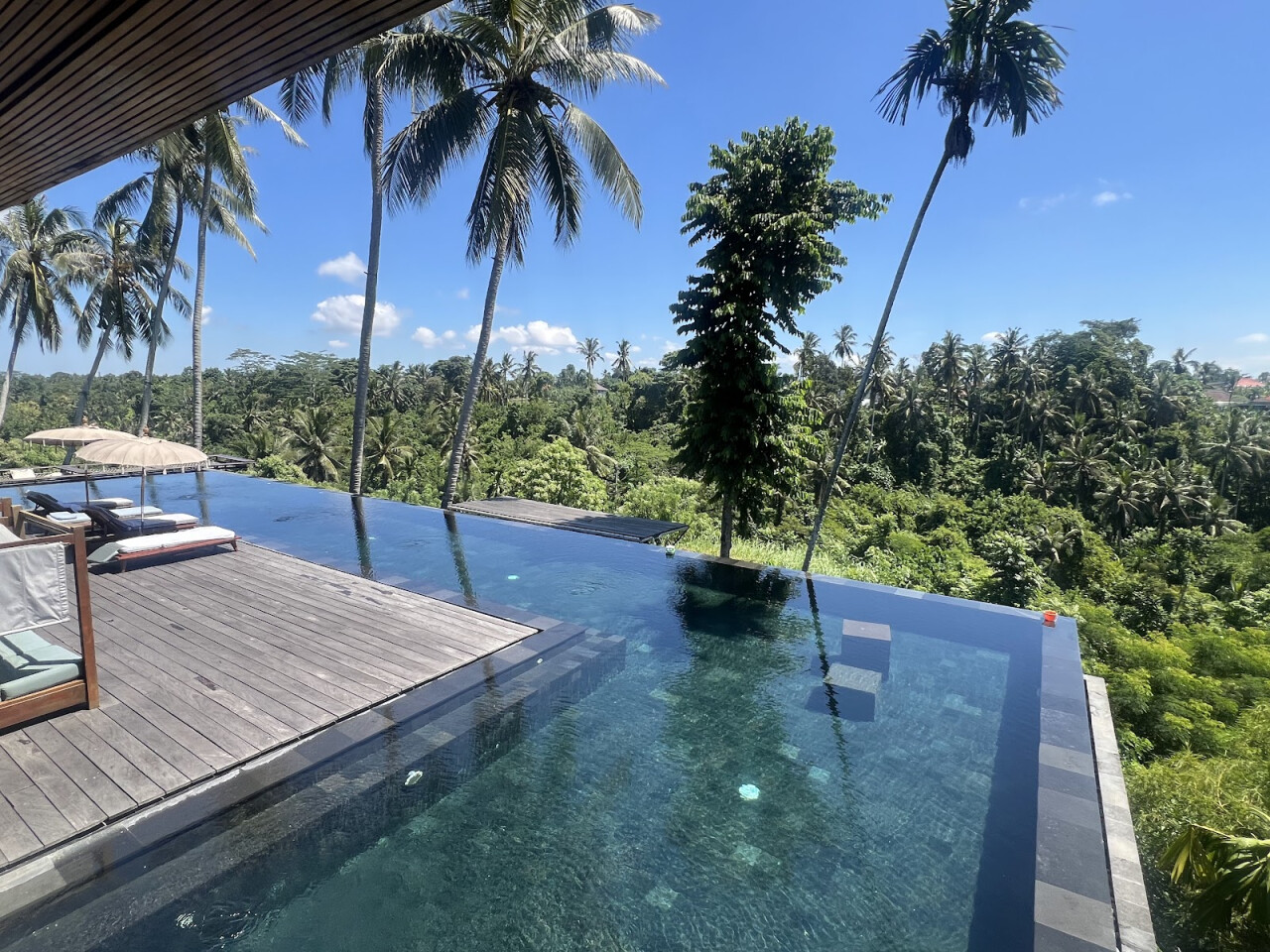 Habitat Bistro Ubud by Wonderspace - Italian Restaurant Ubud