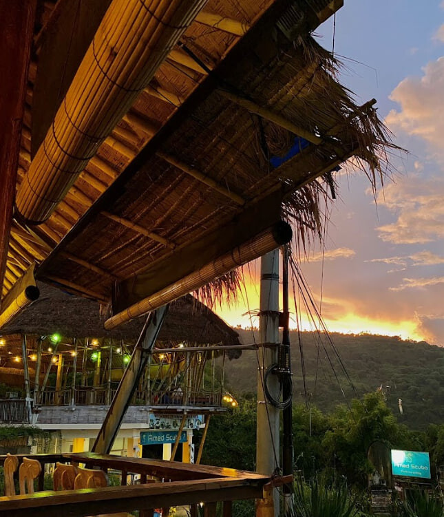 Tropical sunset cafe