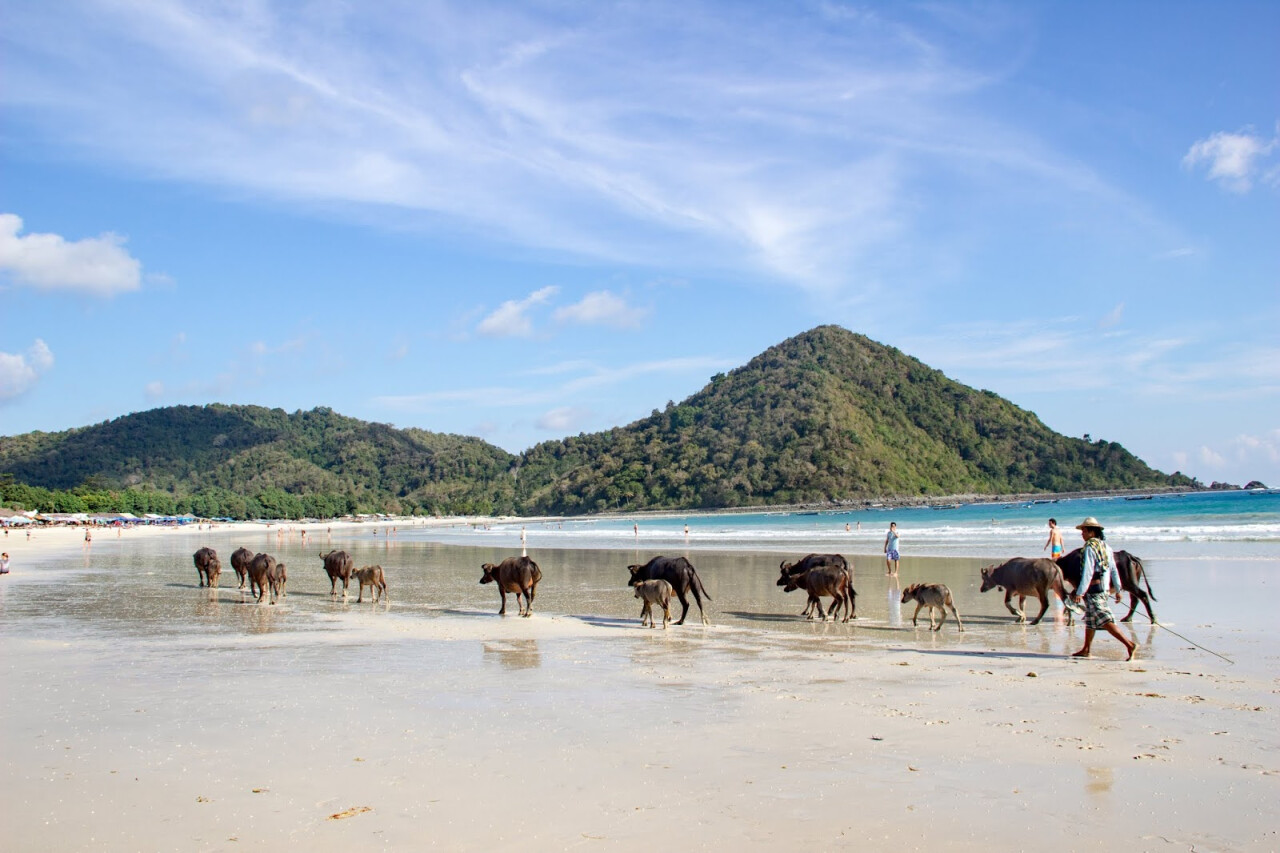 Selong Belanak Beach