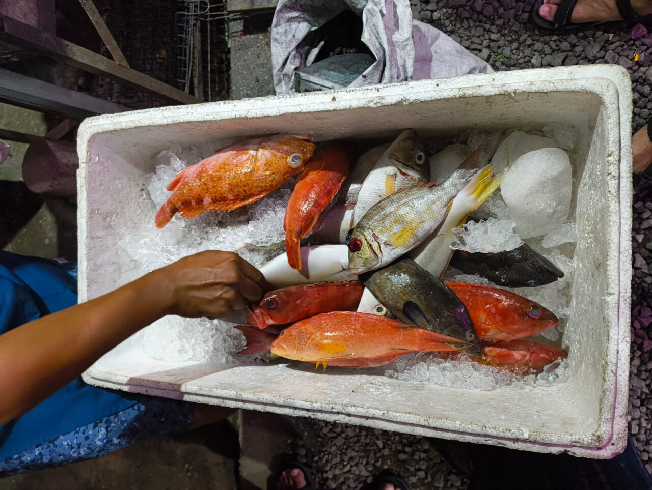 Warung Sari Laut