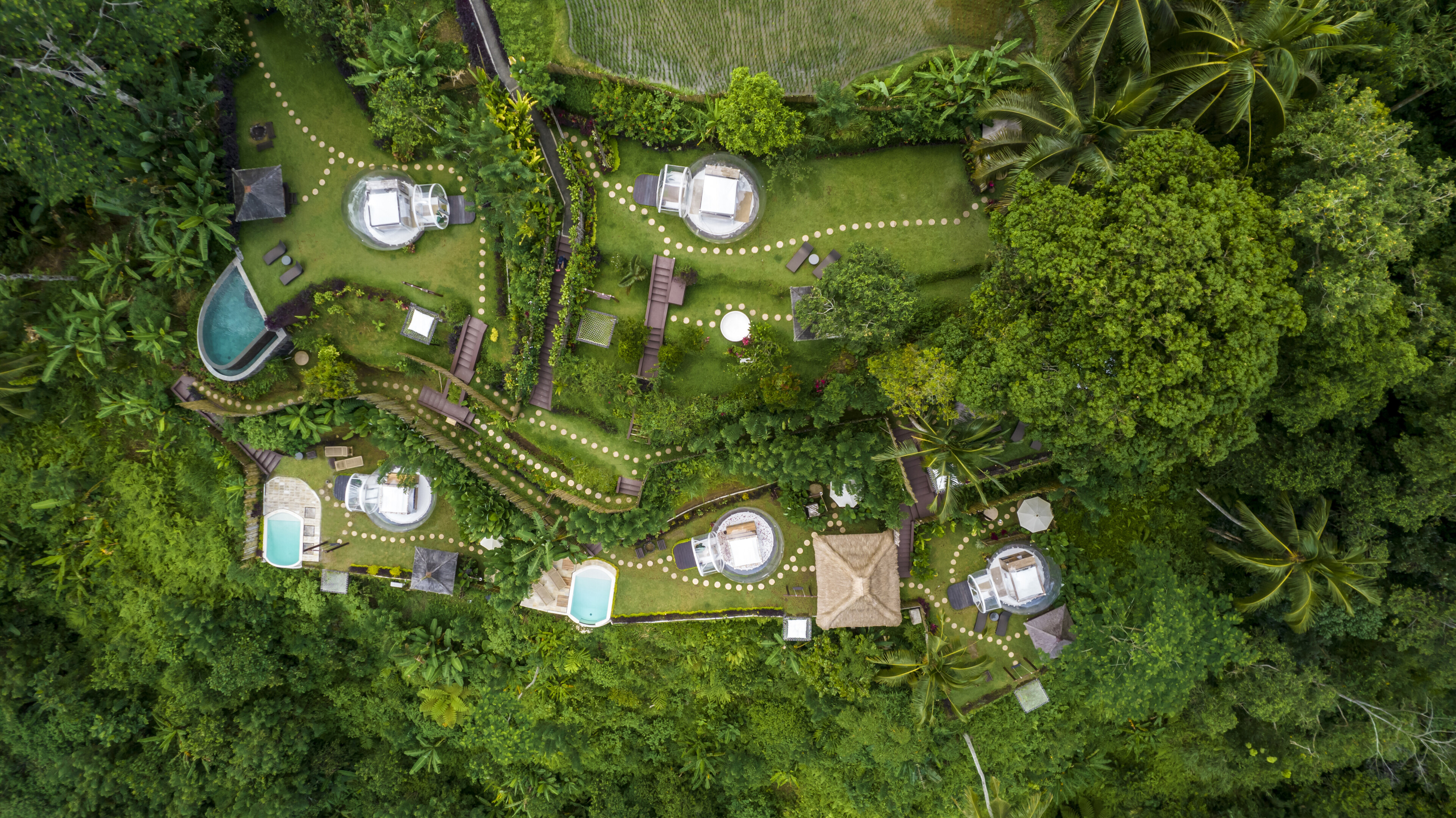 Отель bubble Убуд 8м² 1 спальня