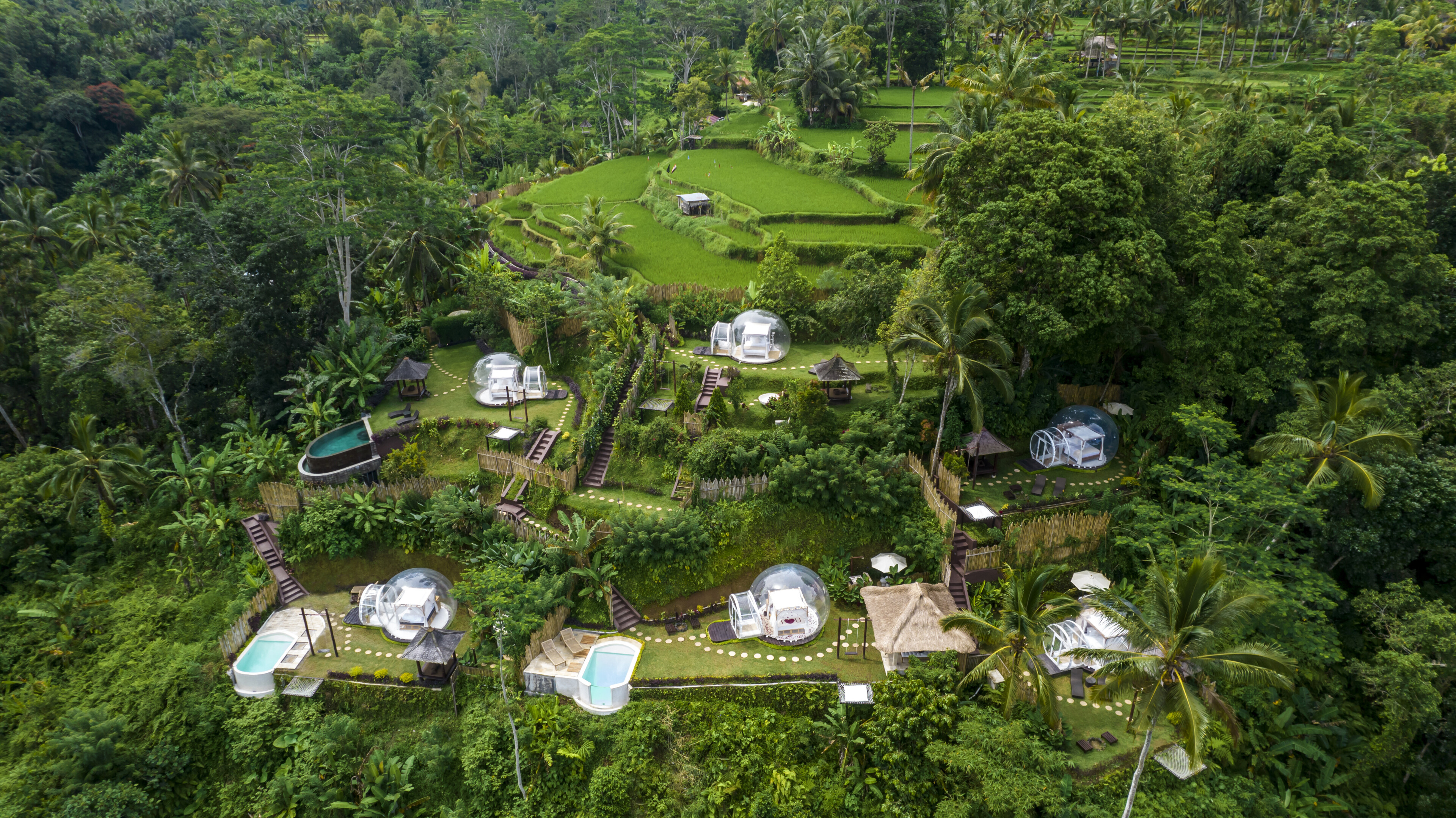 Отель bubble Убуд 8м² 1 спальня