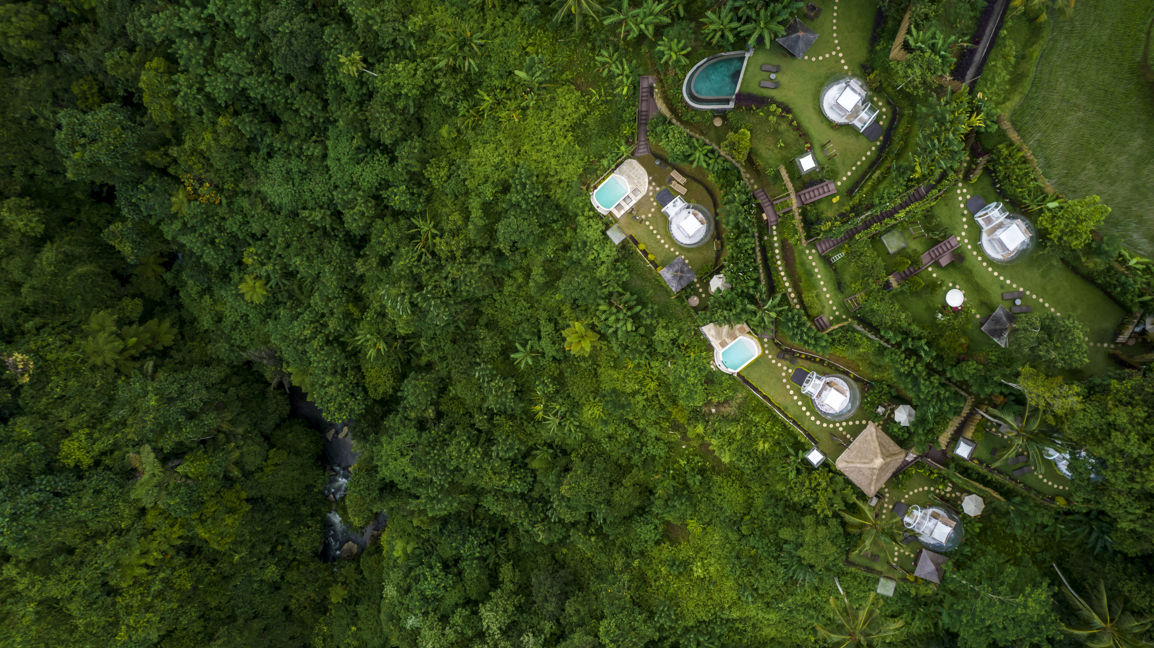 Отель bubble Убуд 8м² 1 спальня