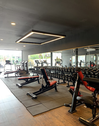 Fitness Plus