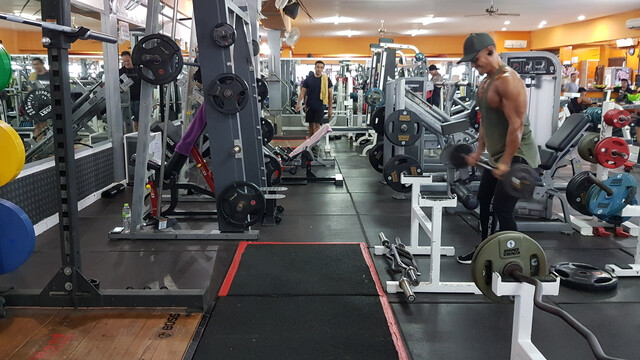 Hammerhead Fitness