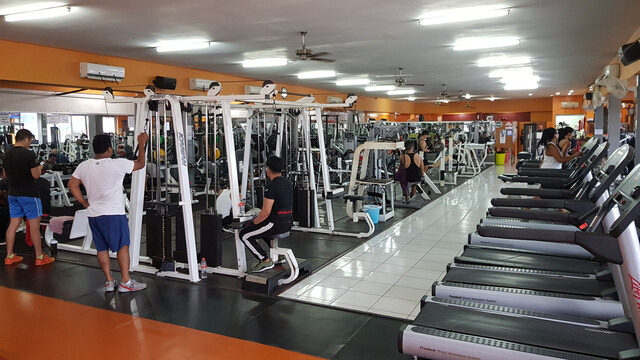 Hammerhead Fitness