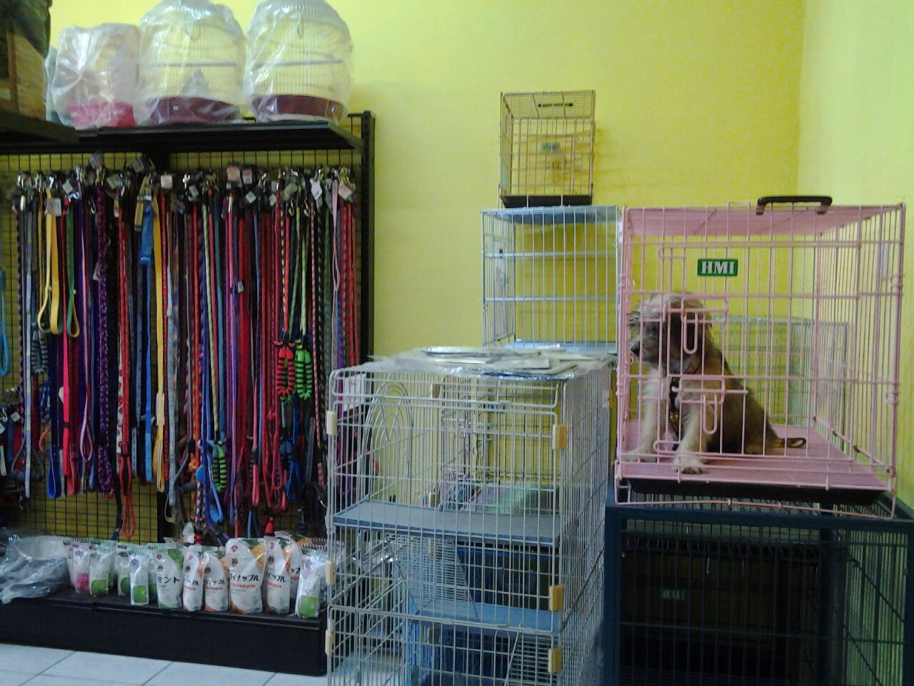 Bali Pet Shop Jimbaran