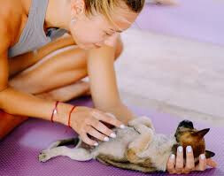 Happy Puppy Yoga Ubud