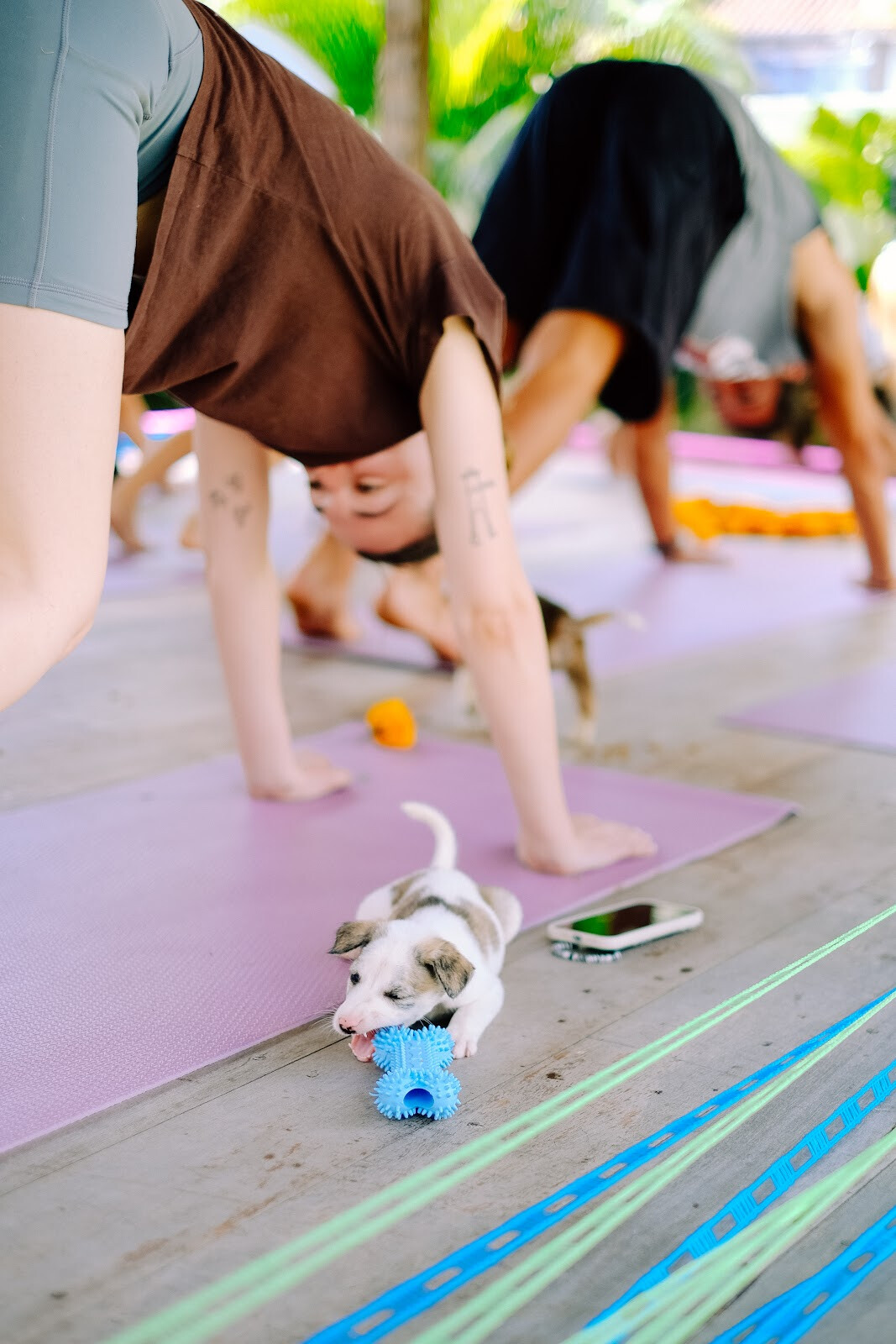 Happy Puppy Yoga Canggu