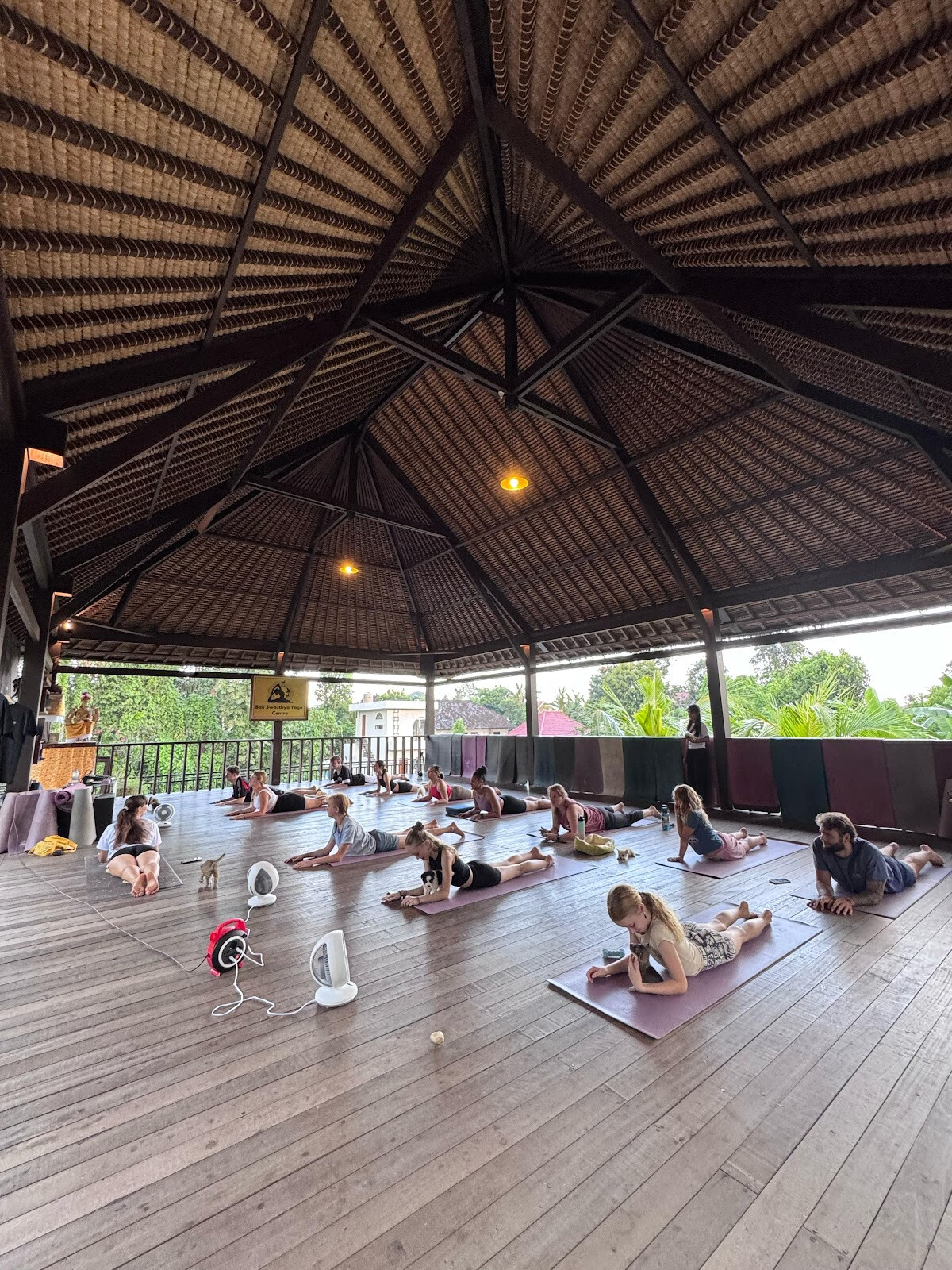 Happy Puppy Yoga Ubud