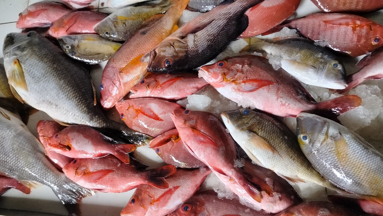 Warung Ikan Bakar Kurma Asih (Seafood)