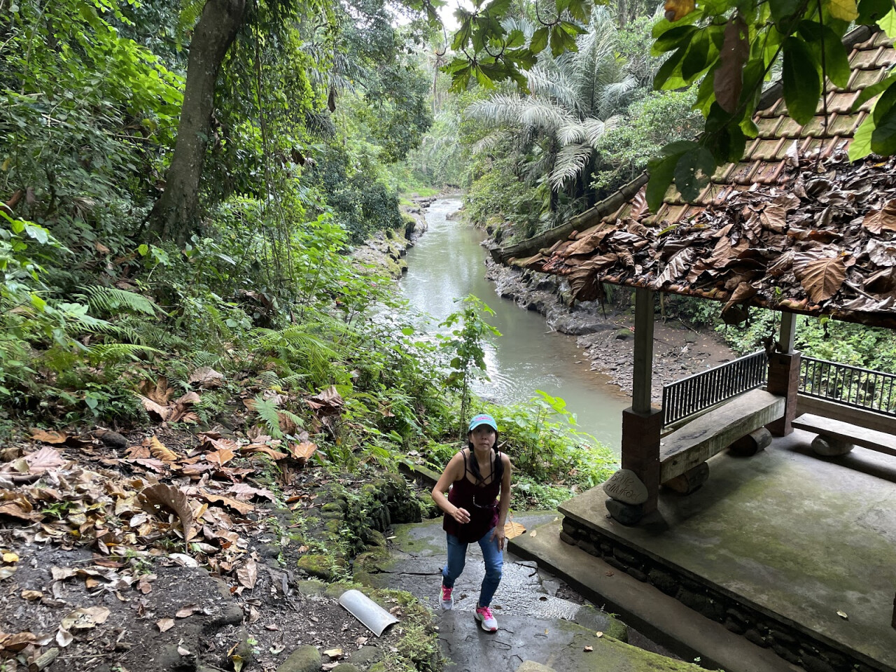 Kemenuh Monkey River