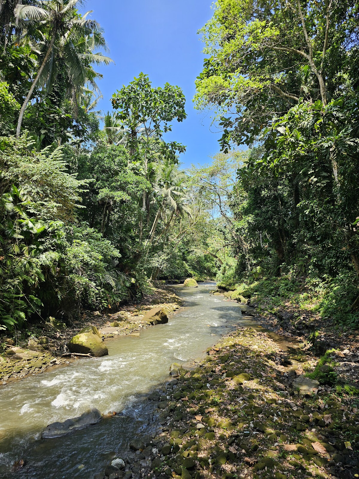 Kemenuh Monkey River