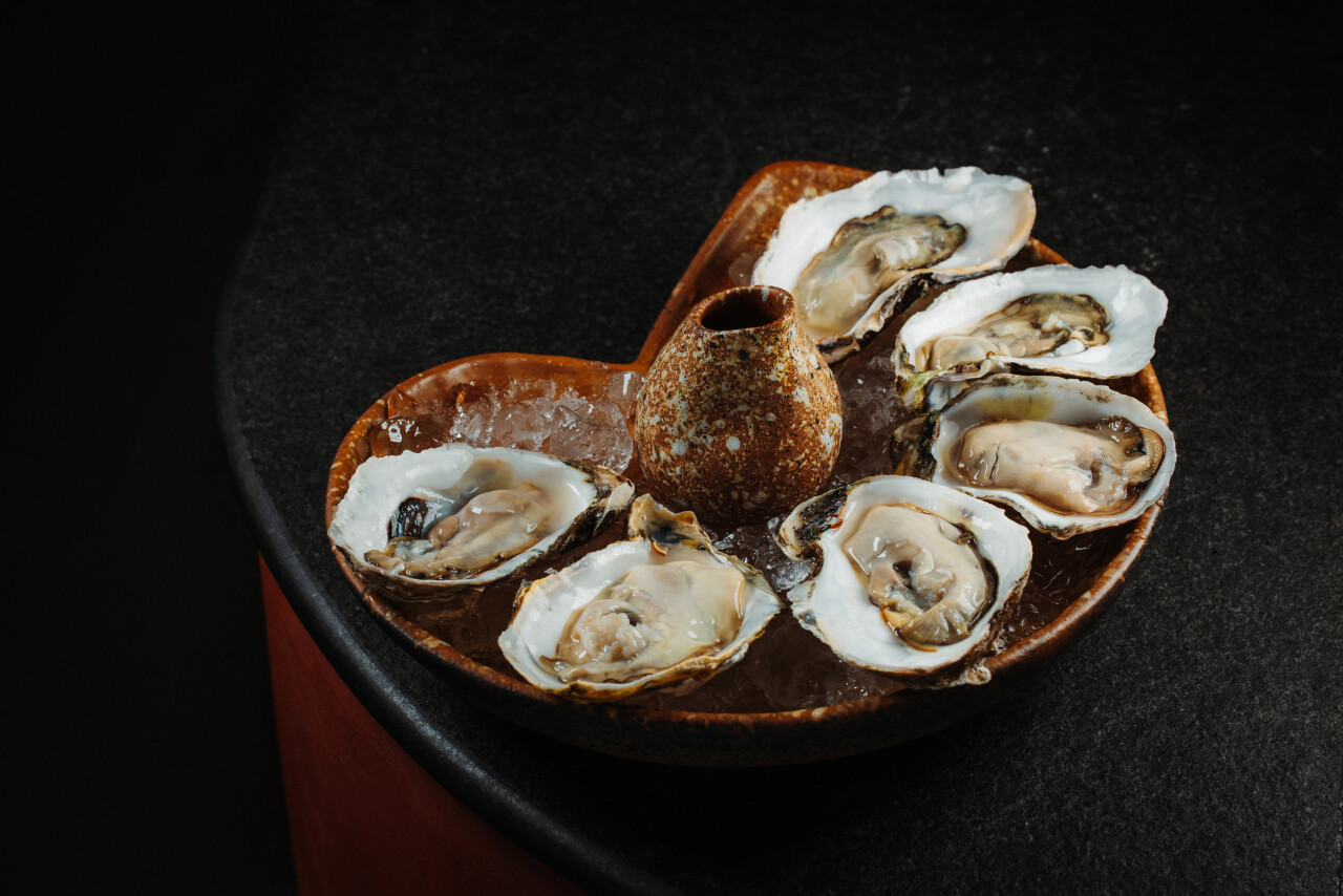 Nautilus Seafood Restaurant & Bar