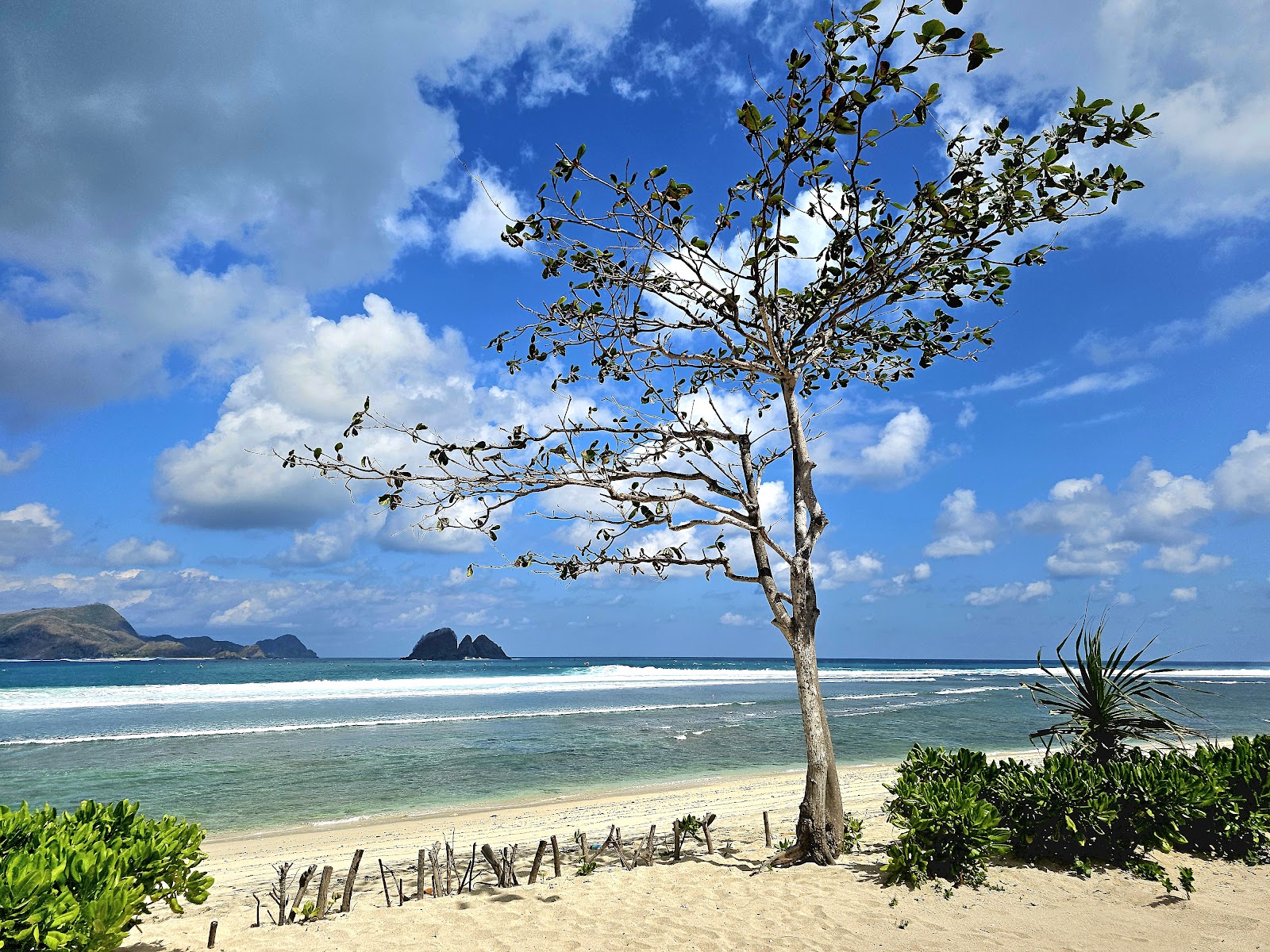 Nine Dining And Resto Surfing Point