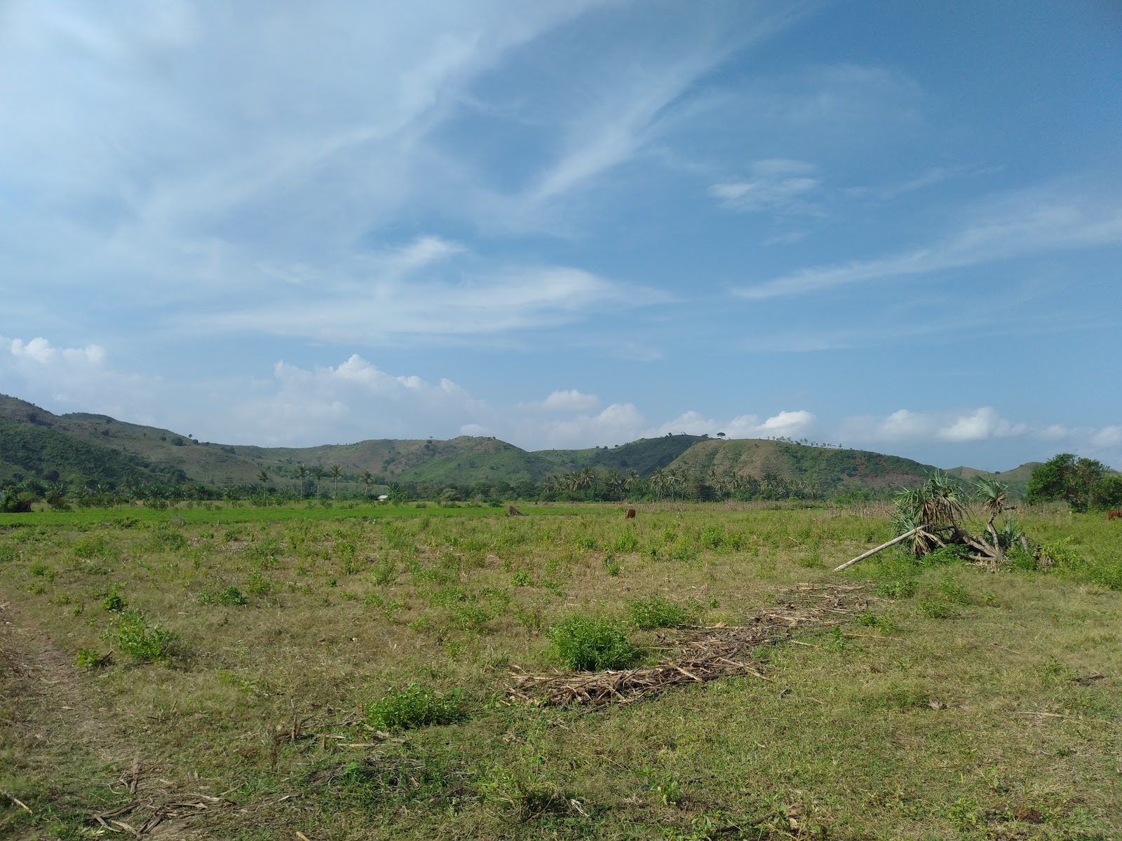 Pantai Meang