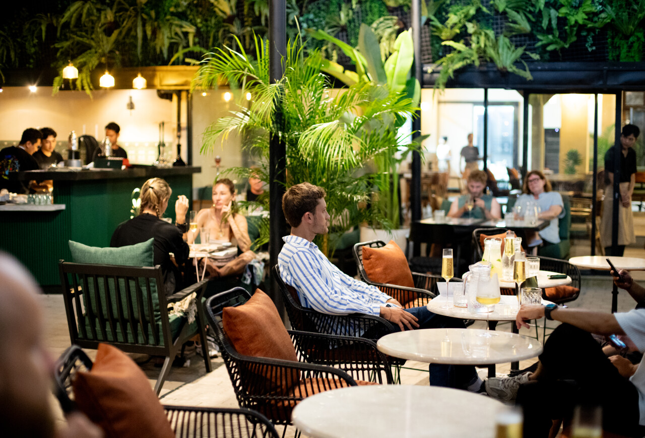 MAMU GARDEN (cafe & shisha lounge)