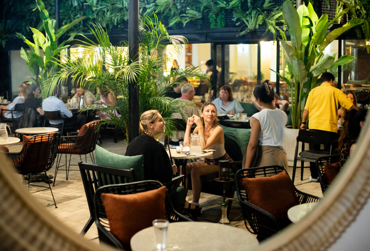 MAMU GARDEN (cafe & shisha lounge)