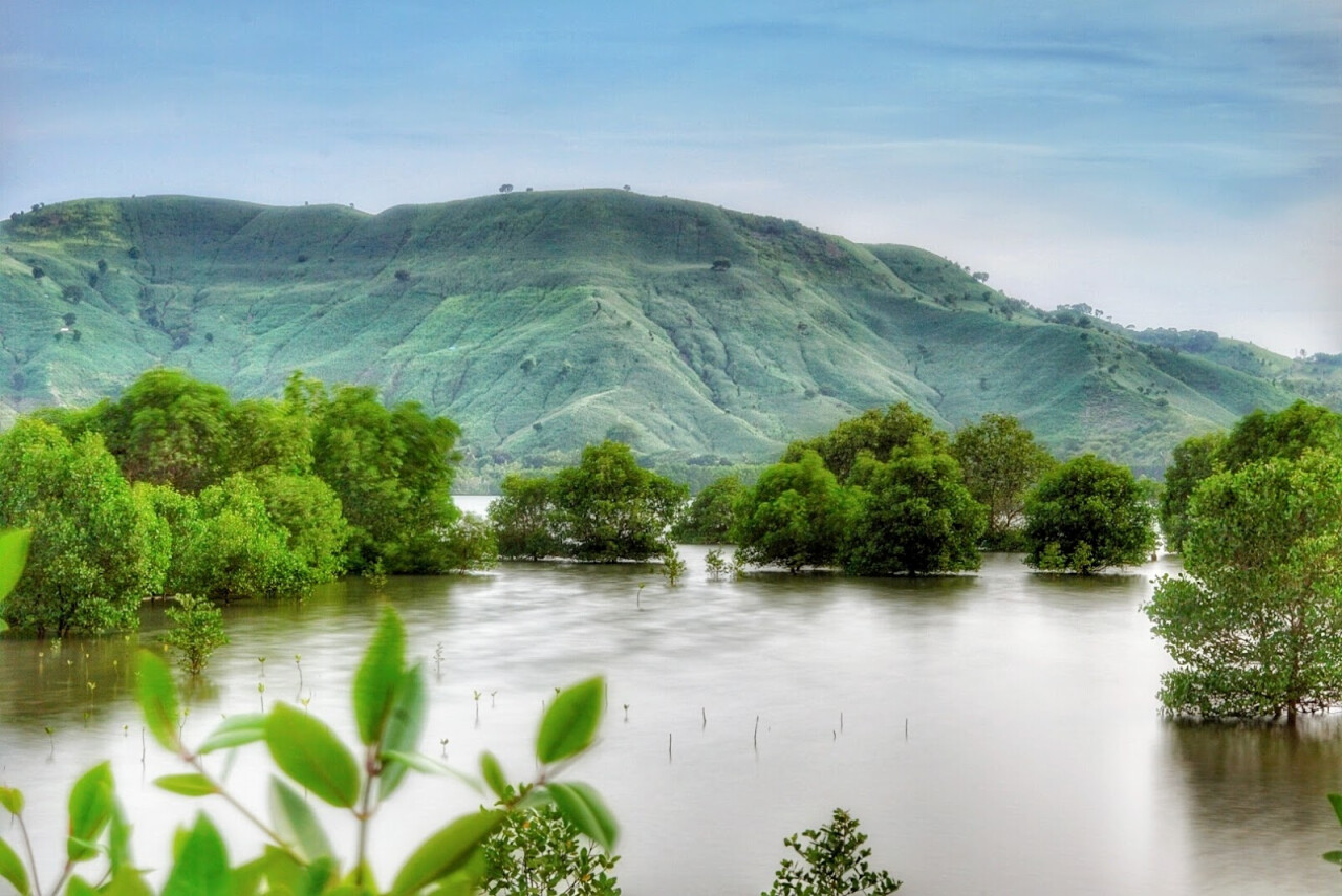 Wisata Mangrove Buwun Mas