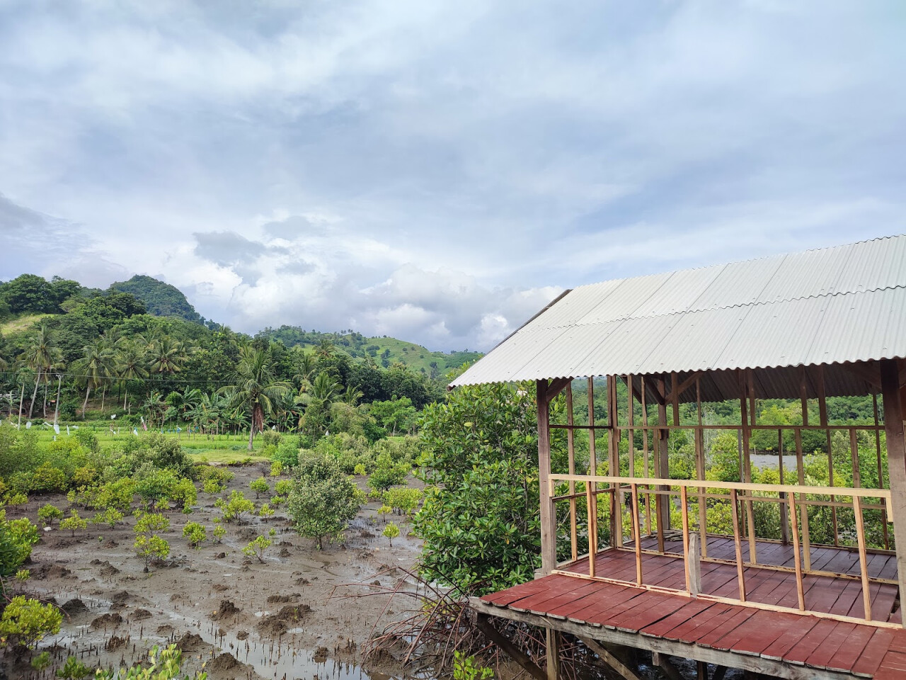Wisata Mangrove Buwun Mas