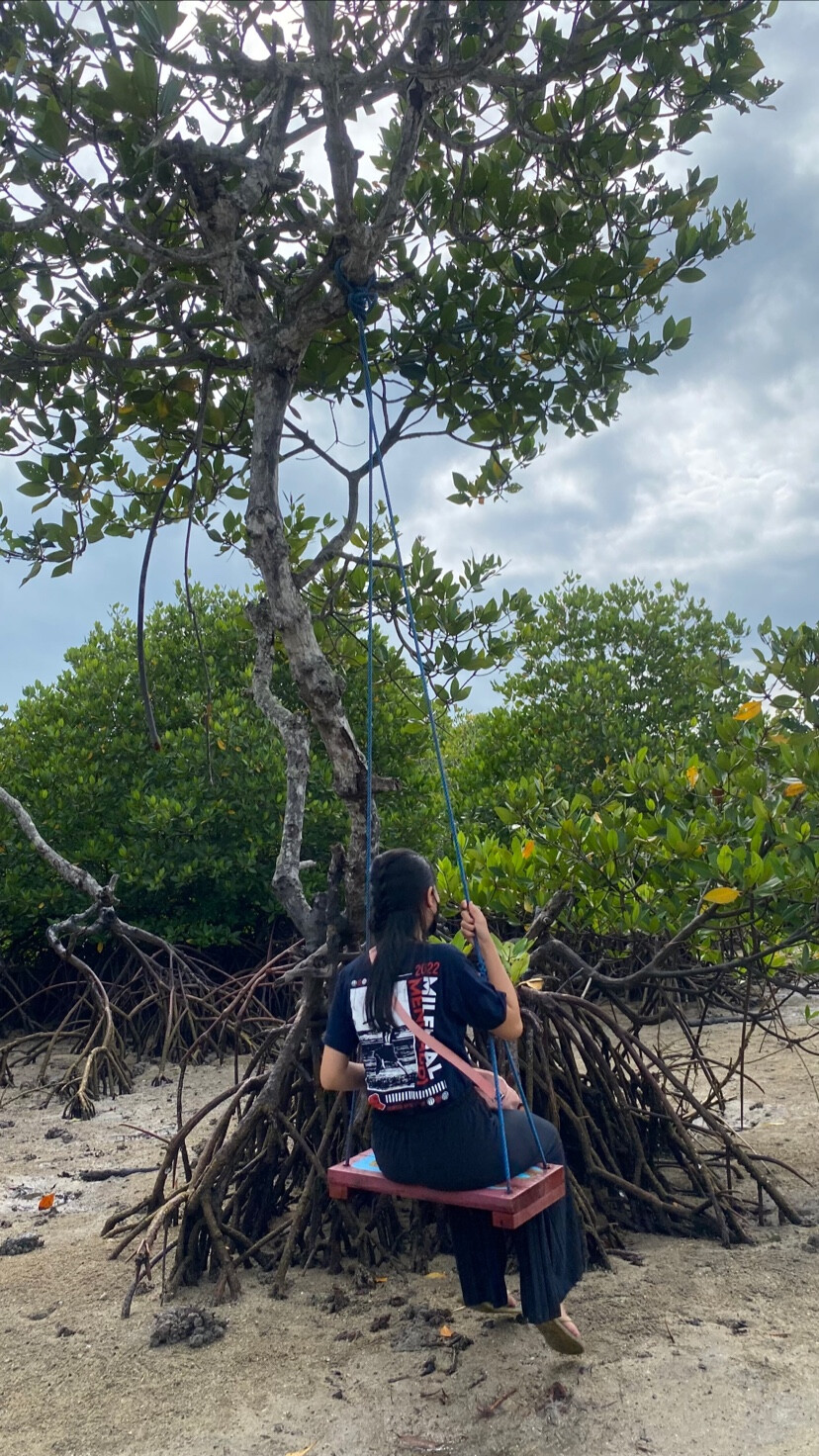 Wisata Mangrove Buwun Mas