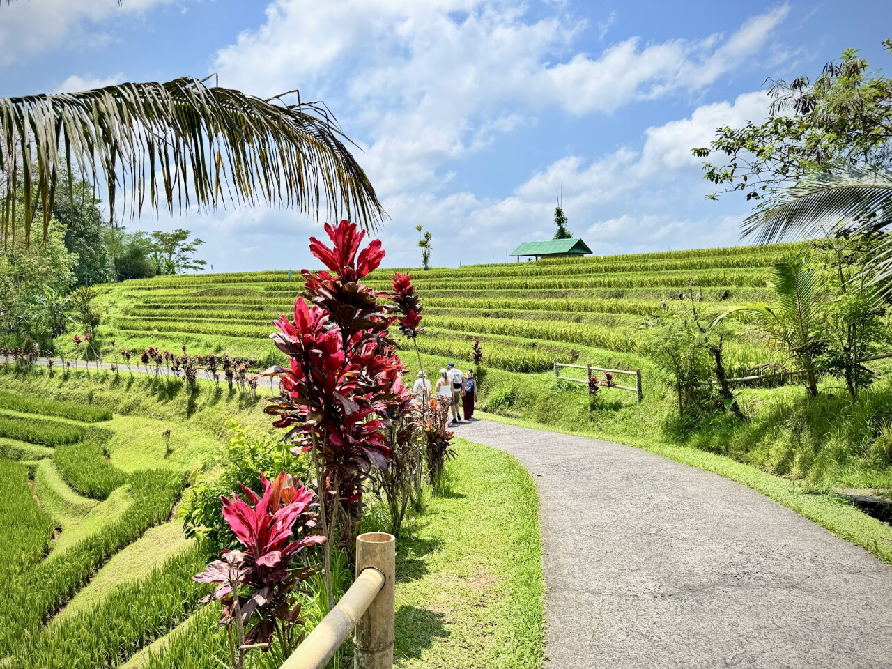 Jatiluwih Rice Terraces