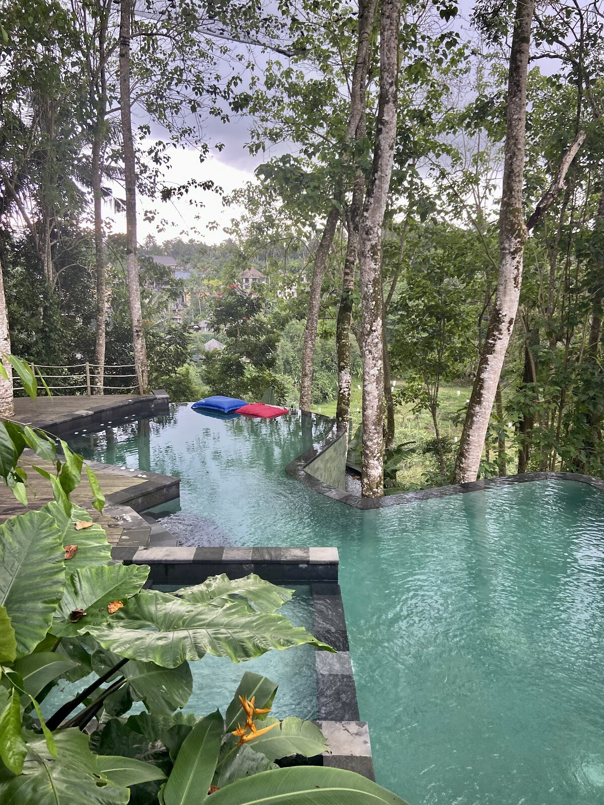 d'Alas by the pool