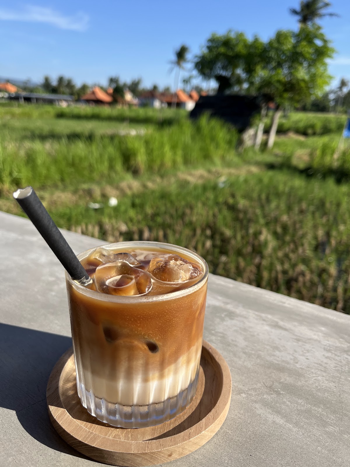 st. bernard coffee - Amed