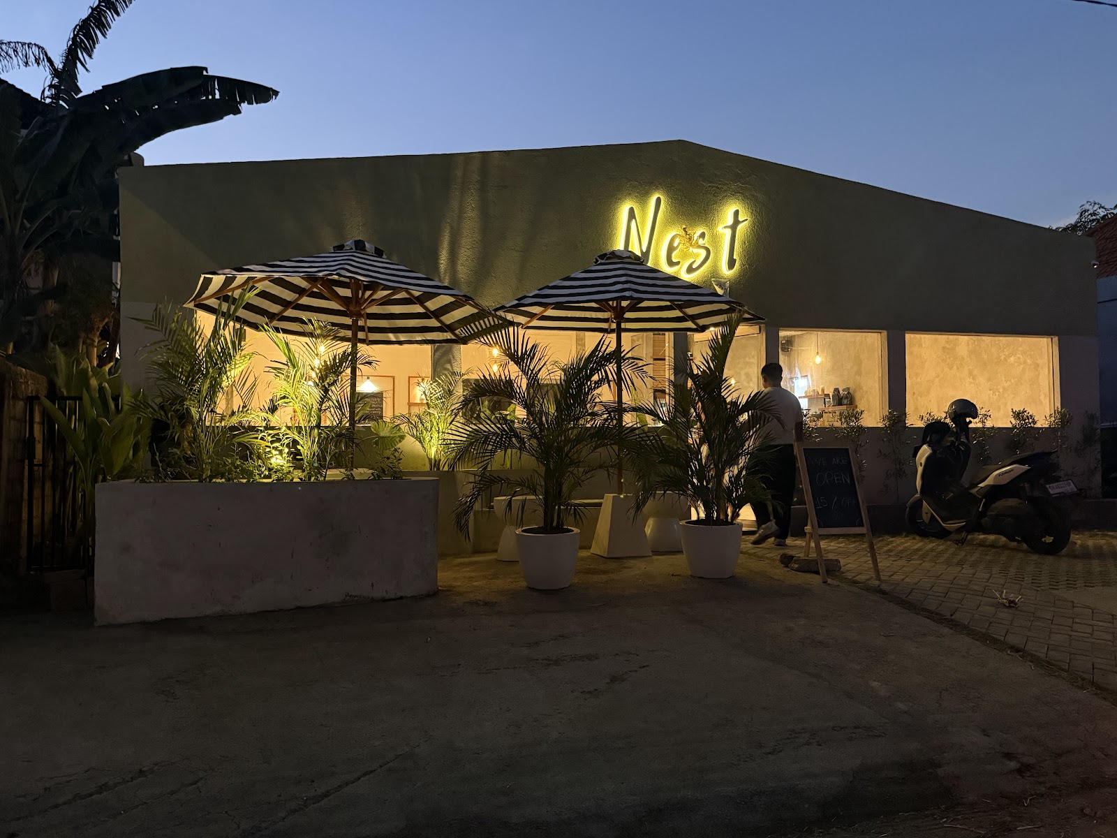 кафе NEST Restaurant Amed 1