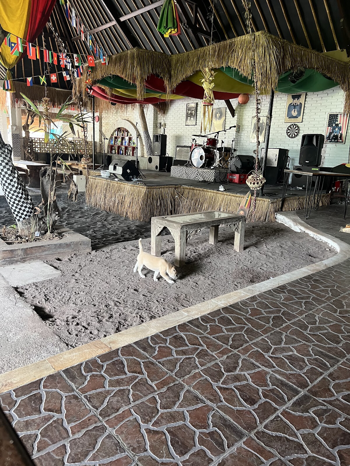Pacha Reggae Bar & Restaurant