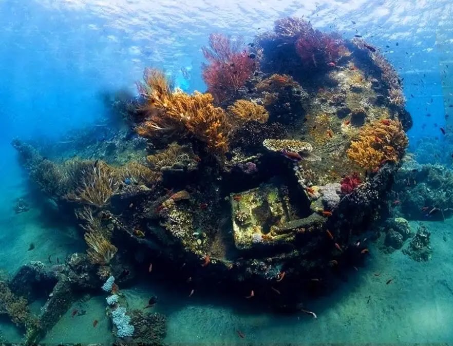 Japanese Ship Wreck Point