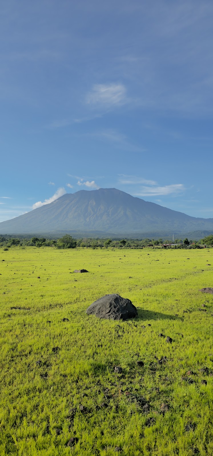 Savana Nusu