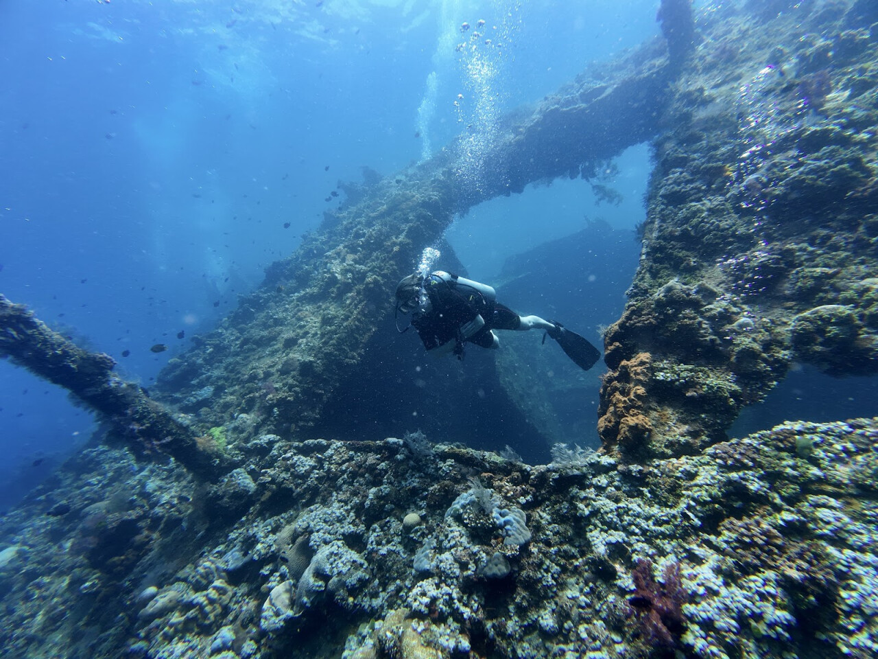 Adventure Divers Bali
