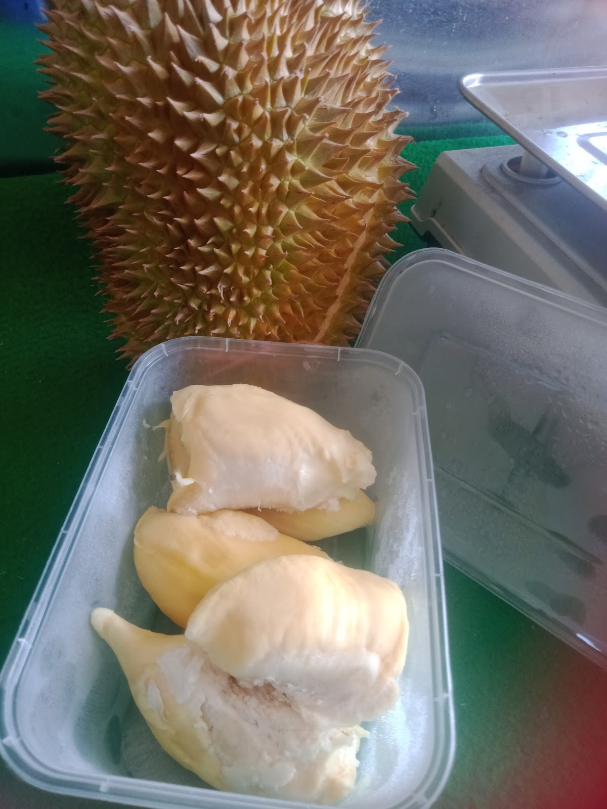 My durian