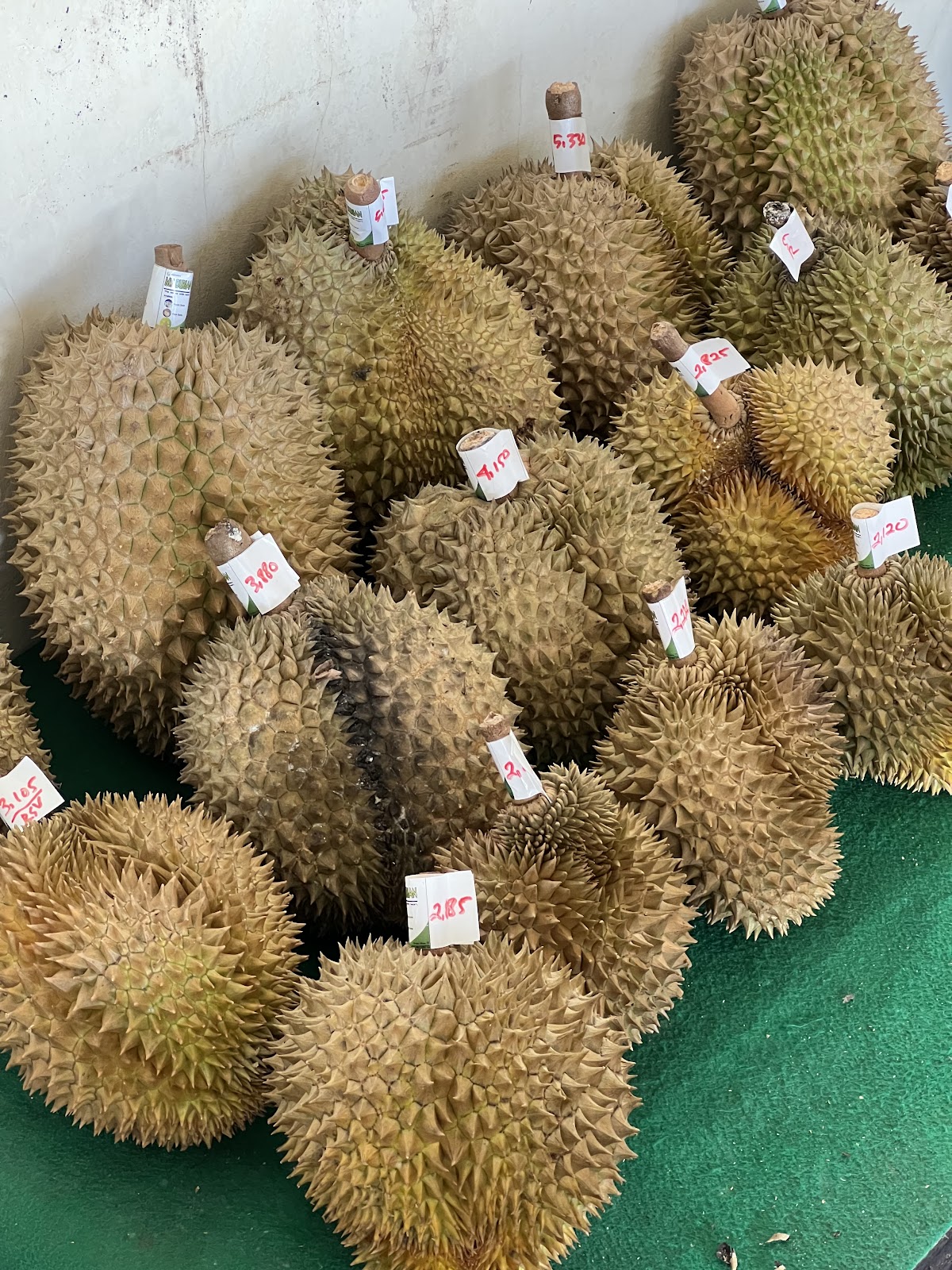 My durian