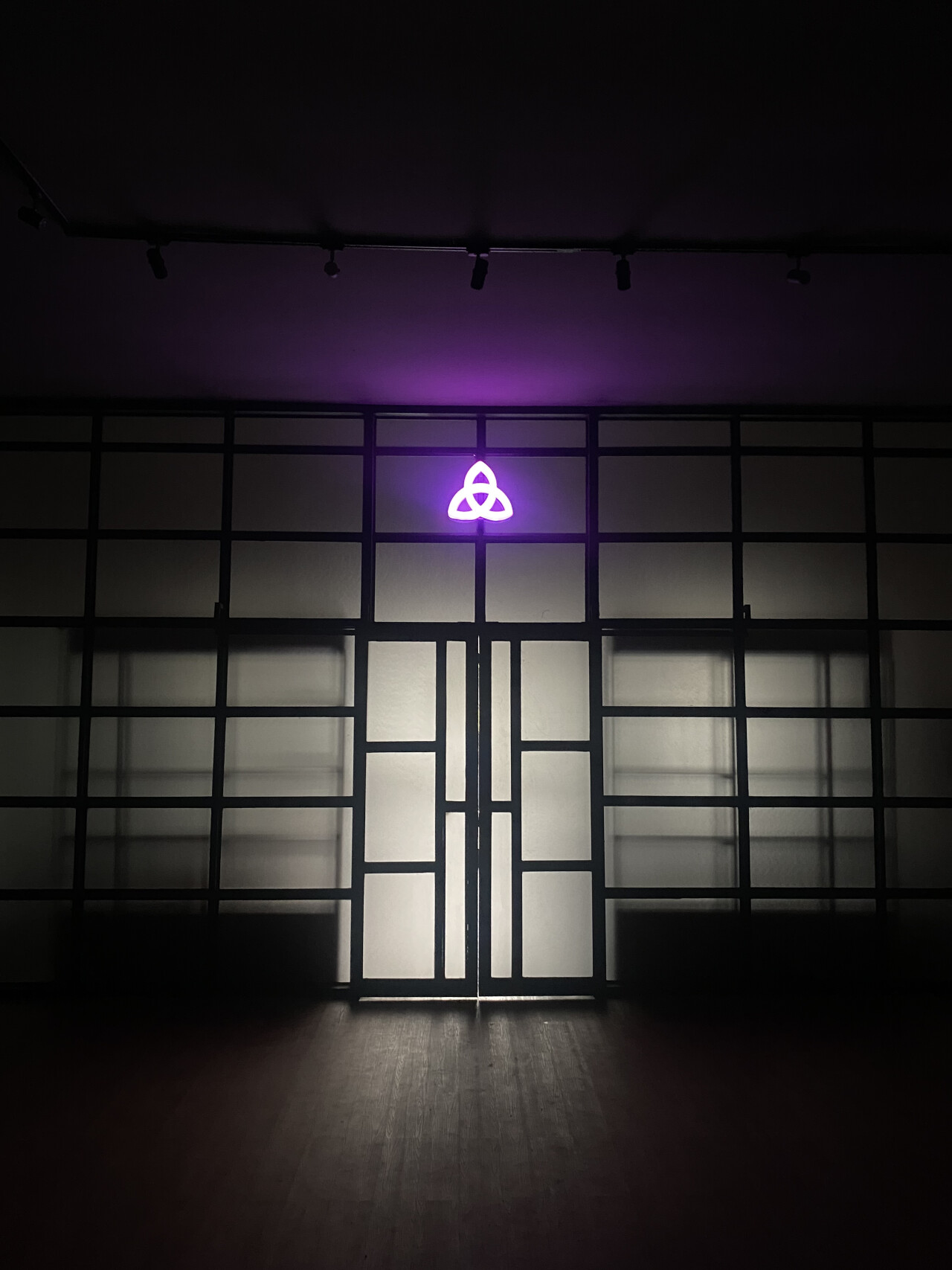 PRAVILIFE Studio – Health, Strength & Youth Restoration