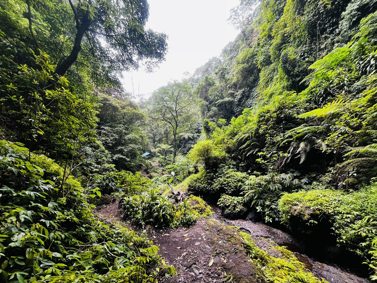 Pucak manik waterfall