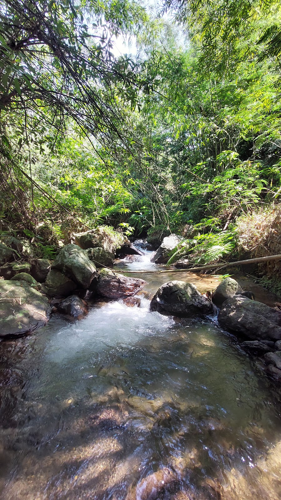 Munduk Waterfalls Trekking Point