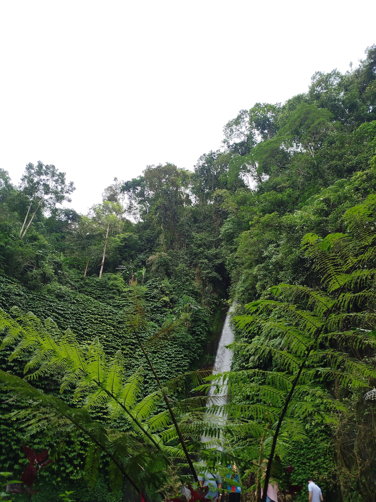 Munduk Waterfalls Trekking Point