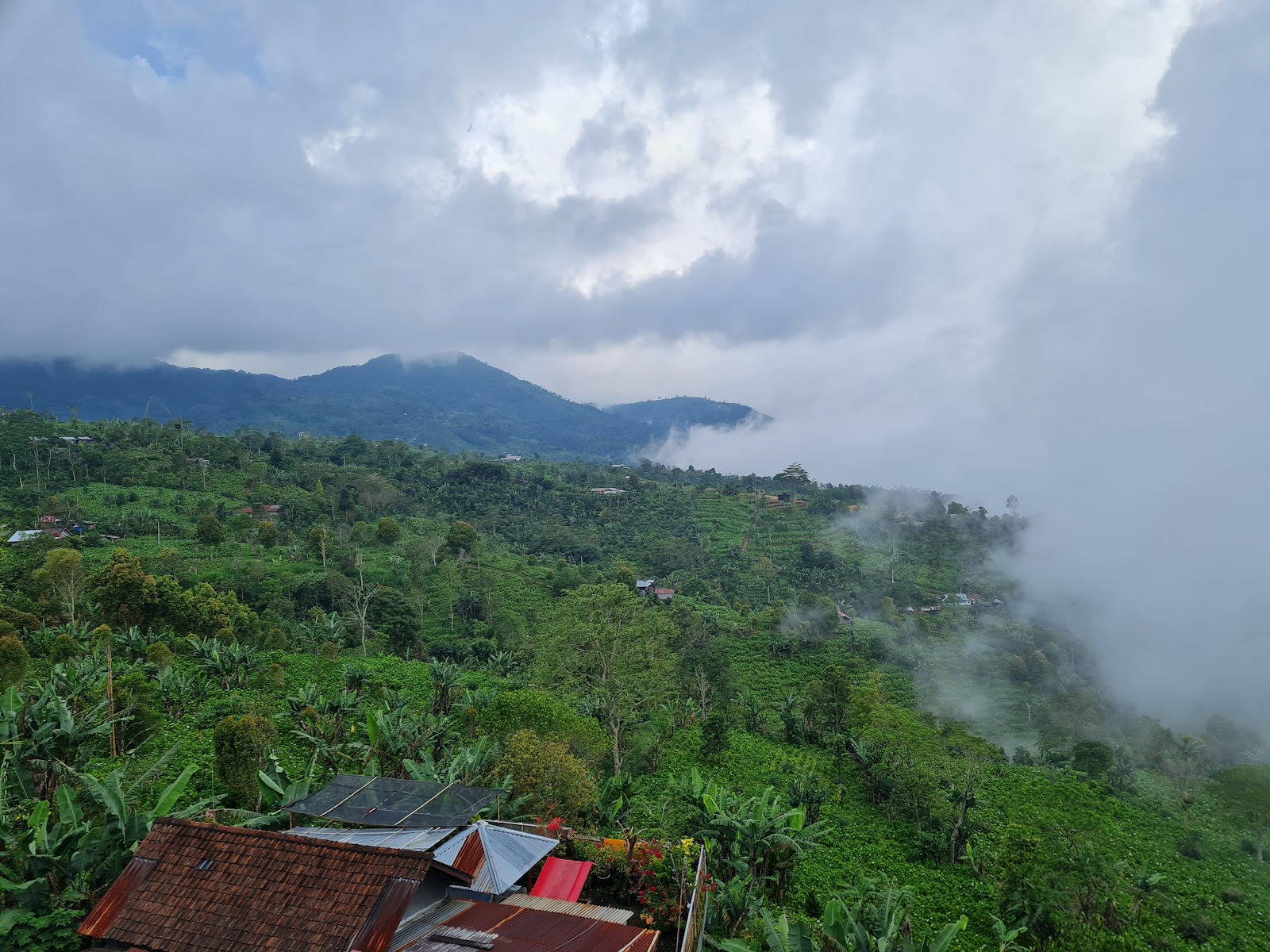 The View Munduk