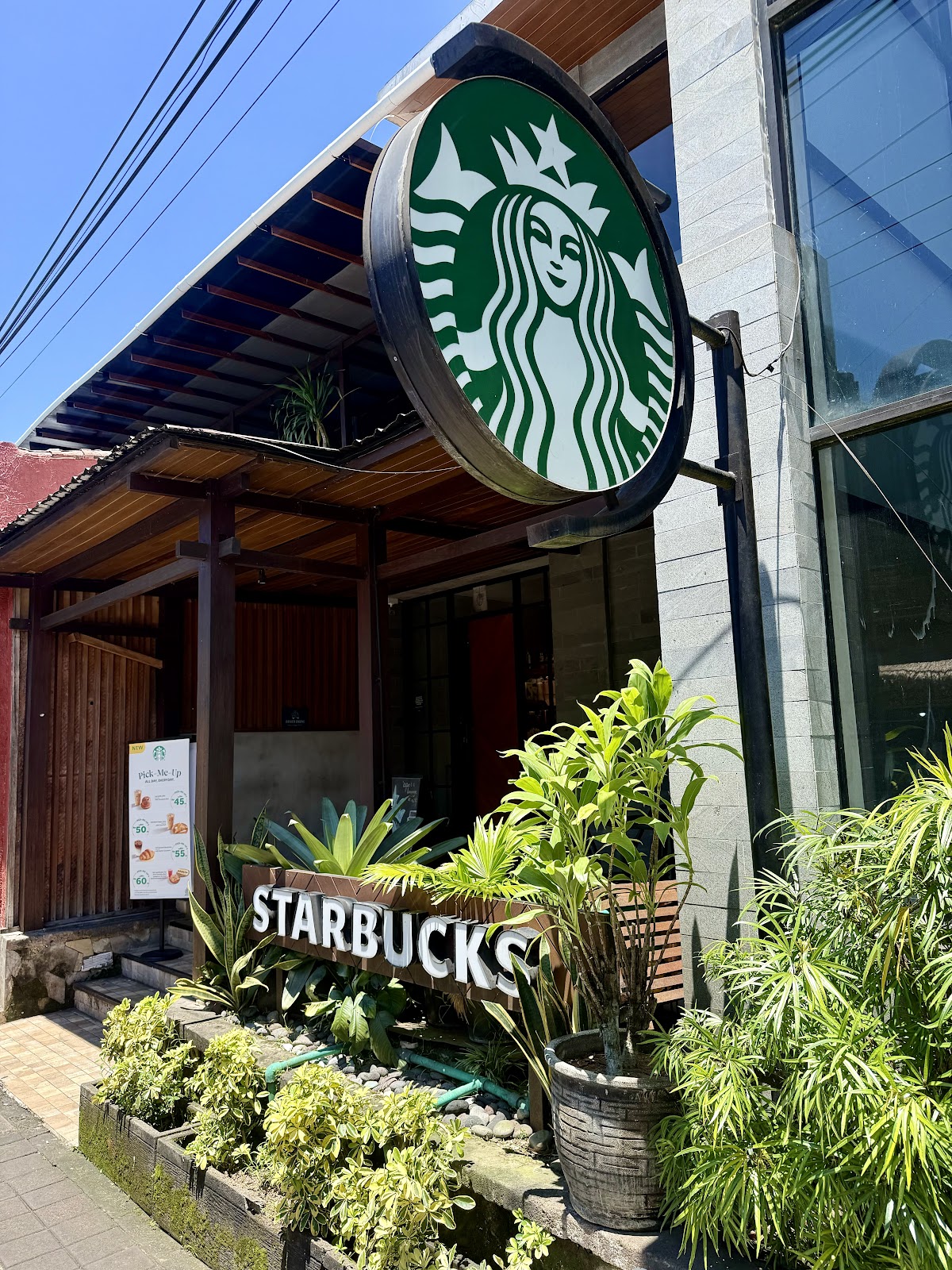 Starbucks Monkey Forest
