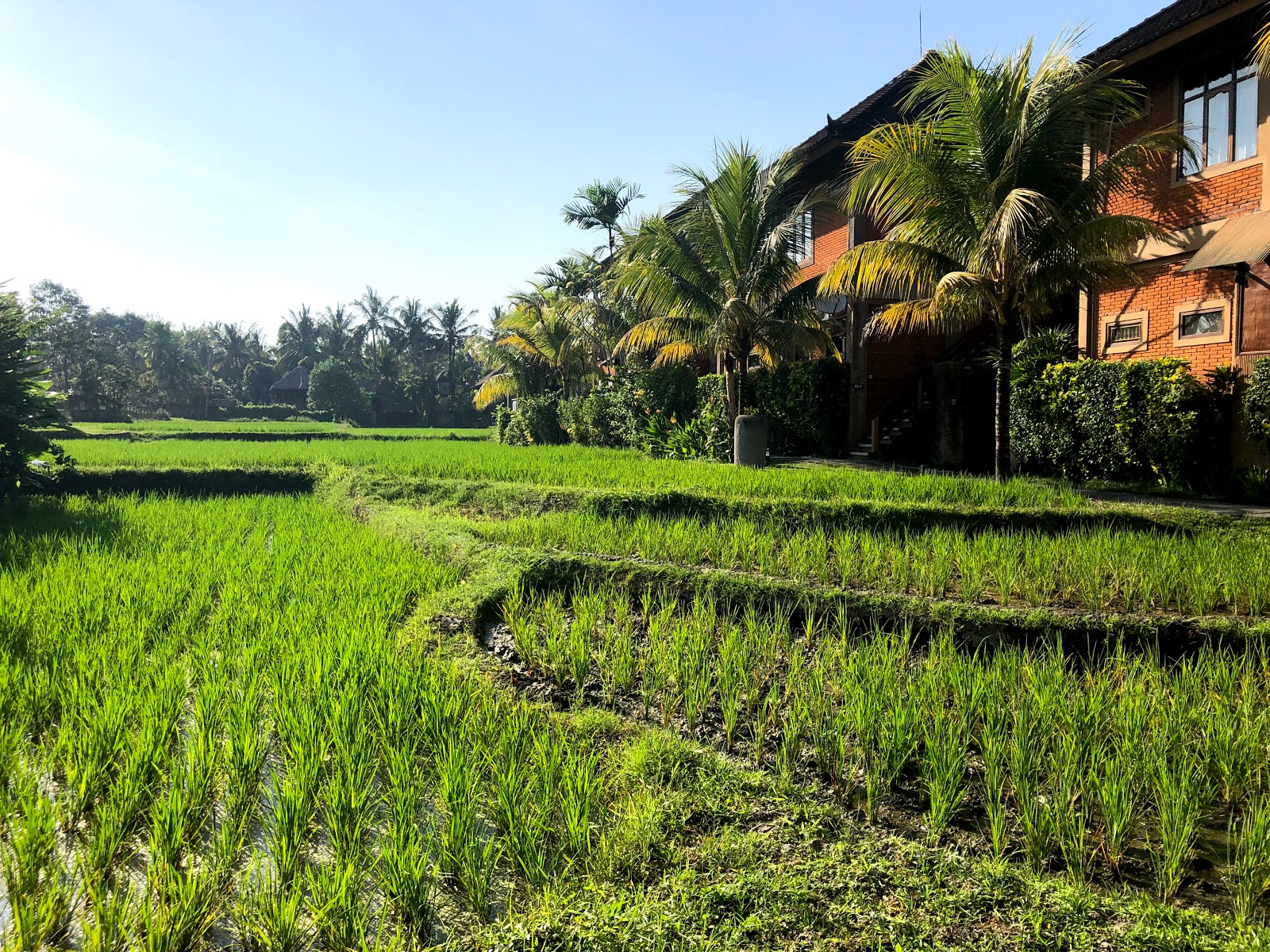 Saren Indah Hotel & Restaurant