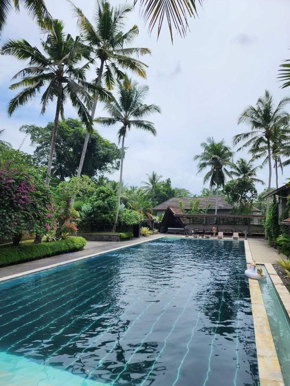 Гестхаус просторный Убуд